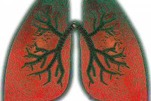 Chiropractic Adjustments as a Natural Treatment for Asthma