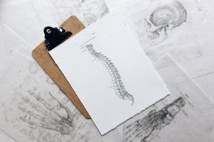 Chiropractic Care and Your Musculoskeletal System