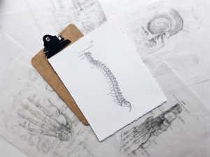 Chiropractic Care and Your Musculoskeletal System
