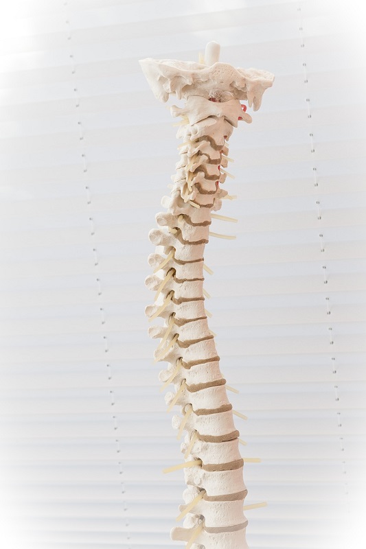 What is a Spinal Subluxation? Frank E. Kaden, D.C. Chiropractic, Inc.